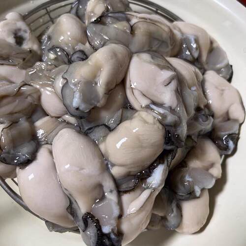 高品质新鲜生蚝肉6斤鲜活现剥去壳海鲜即食原浆海蛎子牡蛎肉包邮