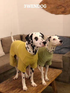 3WEN DOG【纯棉四脚打底衫】中大型犬大狗衣服金毛边牧杜宾斑点狗