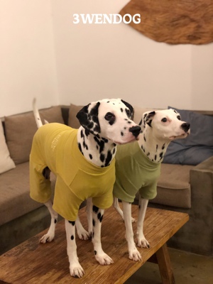 3WEN DOG【纯棉四脚打底衫】中大型犬大狗衣服金毛边牧杜宾斑点狗