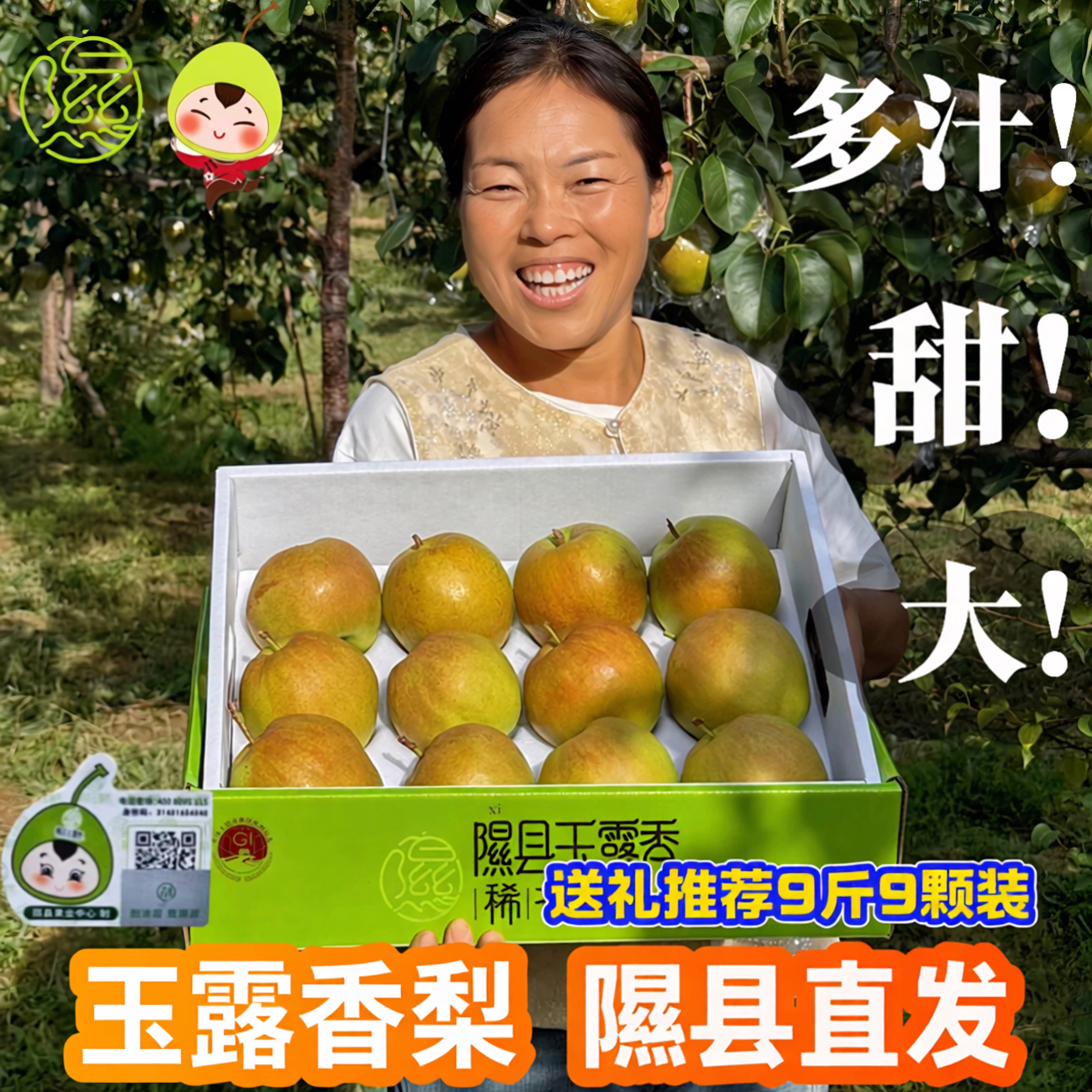 隰县玉露香梨子正宗山西小西天原产地直发新鲜应季礼盒脆甜嫩水果