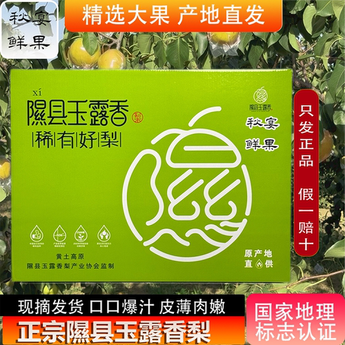 新鲜隰县玉露香梨礼盒装