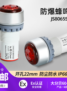 JS8065S防爆防尘防水IP66闪光蜂鸣器声光报警灯器24V220V开孔22mm