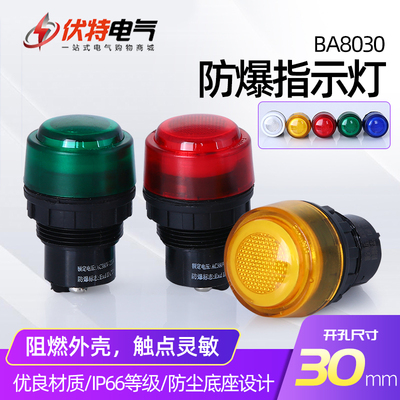 BD8030防爆防腐电源指示灯信号灯开孔30MM IP65防爆箱指示灯220V
