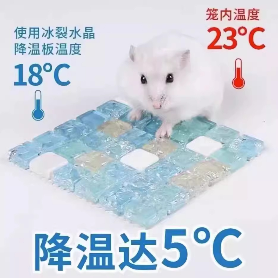 宠物仓鼠冰垫夏天水晶冰垫降温