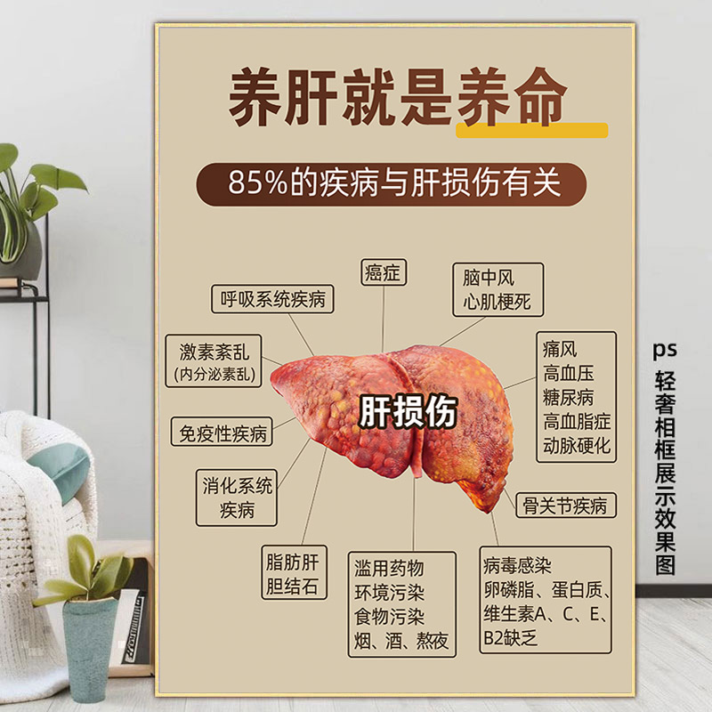 肝胆排毒装饰画脾胃肠道调理广告
