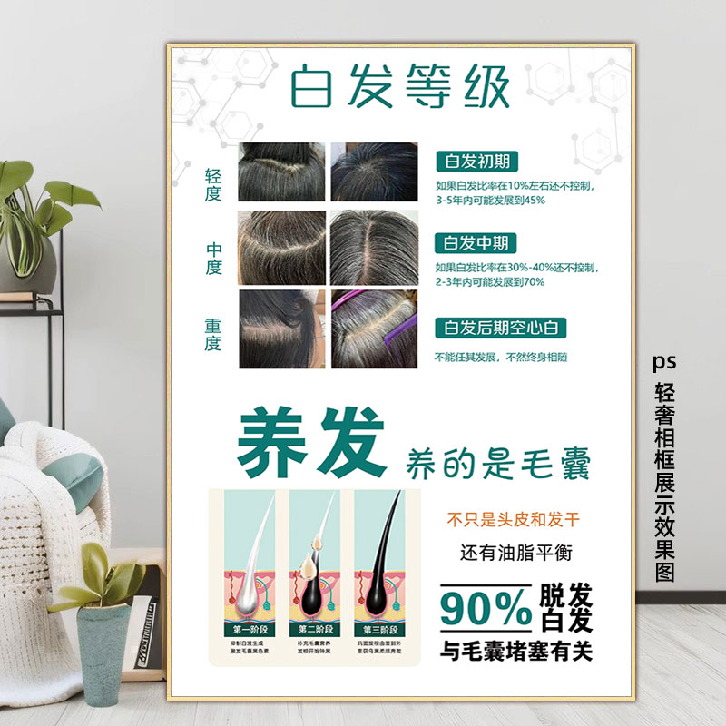头疗头皮图片脱发养发白转黑海报