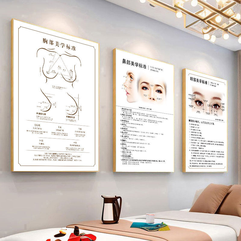 胸部美学标准海报微整广告三庭五眼挂画面部黄金比例墙画抗衰图片