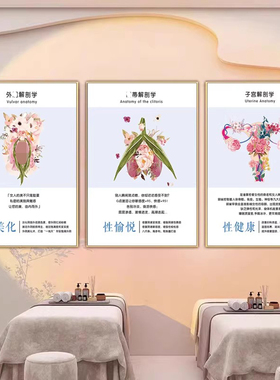 男性女性九型生殖艺术解剖图抽象挂画私密产后康复中心宣传装饰画