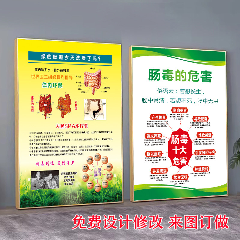 肠道排毒海报肠胃保养脾胃肝胆图