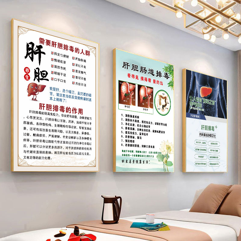 肝胆排毒广告画肠道肠胃保养海报