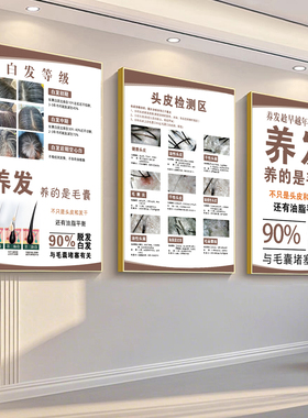 头皮护理海报养发生发广告白转黑