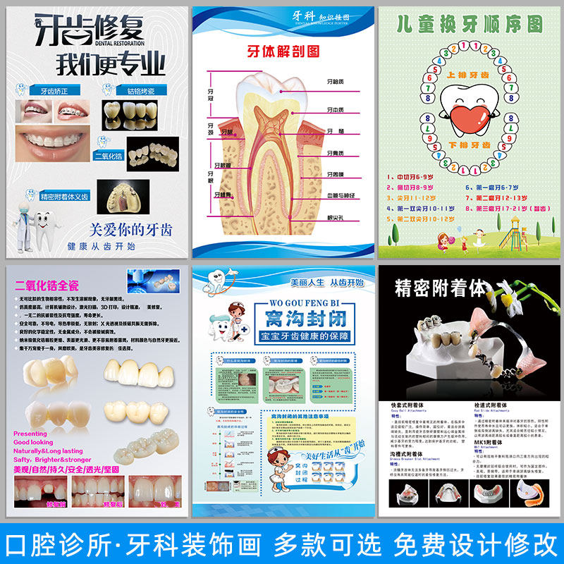 牙科图片口腔挂图牙齿宣传海报医院诊所广告烤瓷牙解剖图洗牙贴画