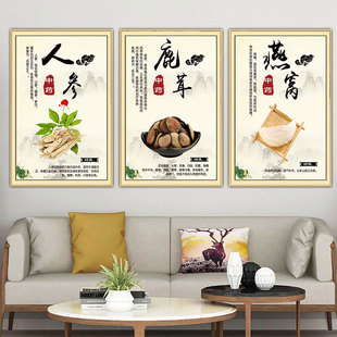 中药材海报中草药宣传画人参挂画当归茯苓金银花广告中药房装饰画