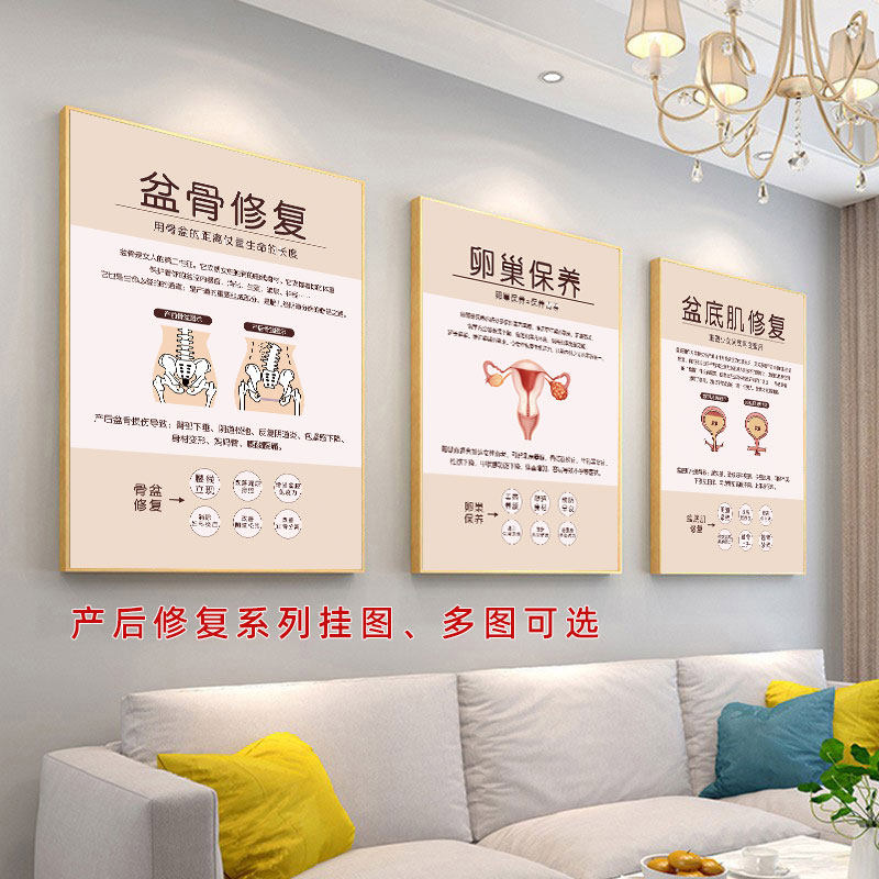 产后修复宣传海报产康恢复图骨盆修复壁画盆底肌广告乳腺护理挂画