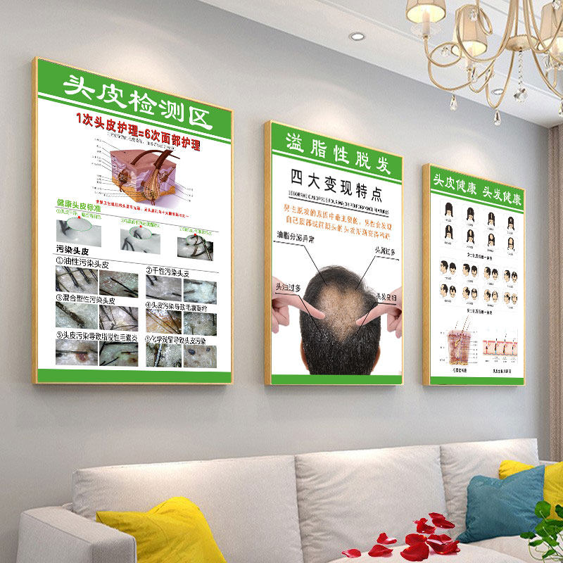 生发养发海报白转黑宣传画植发广告头皮检测区挂画头皮状况对照图