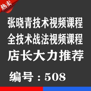 张晓青技术战法股票视频课程全优券卡 炒股视频技术培训教程