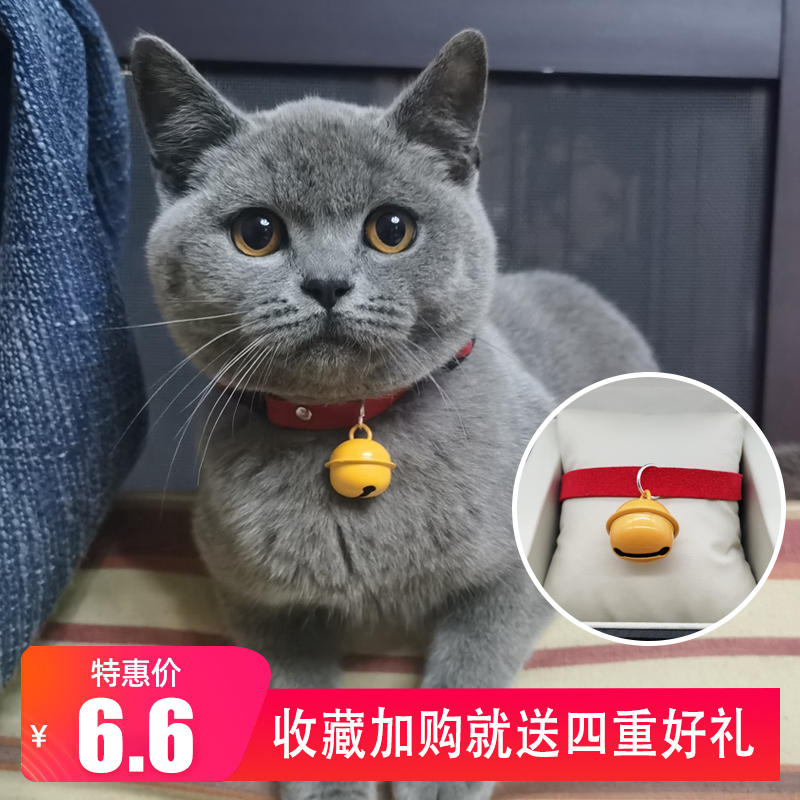 宠物猫铃铛项圈英短可爱