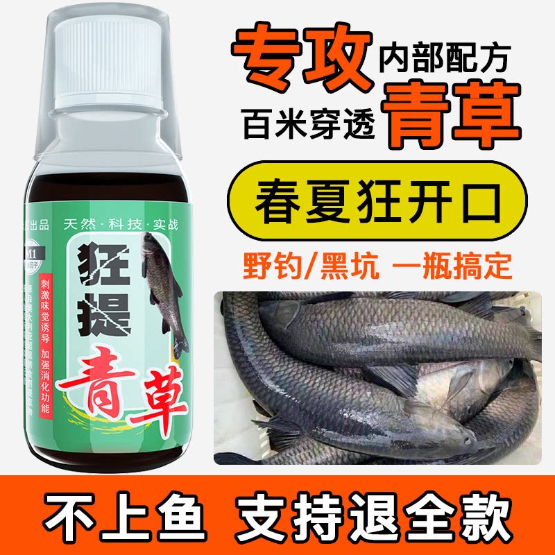 新款青鱼小药专攻黑坑饵料专用颗粒珠珠大物泡螺丝蛳克星钓鱼小药