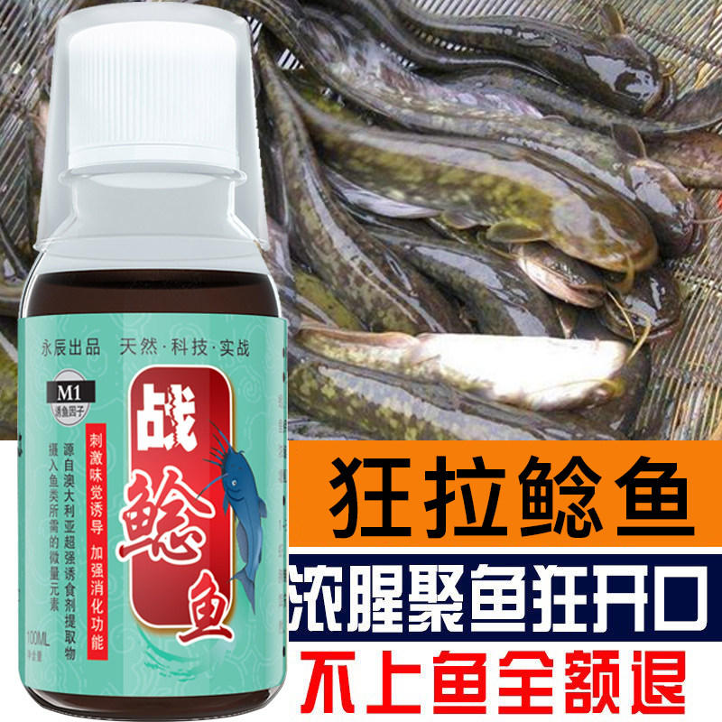 鲶鱼钓鱼小药饵料叉尾打窝料黑野钓胡子鲶大口鲶塘鲺诱食剂泡臭鱼