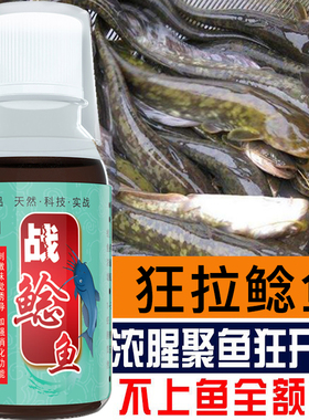 鲶鱼钓鱼小药饵料叉尾打窝料黑野钓胡子鲶大口鲶塘鲺诱食剂泡臭鱼