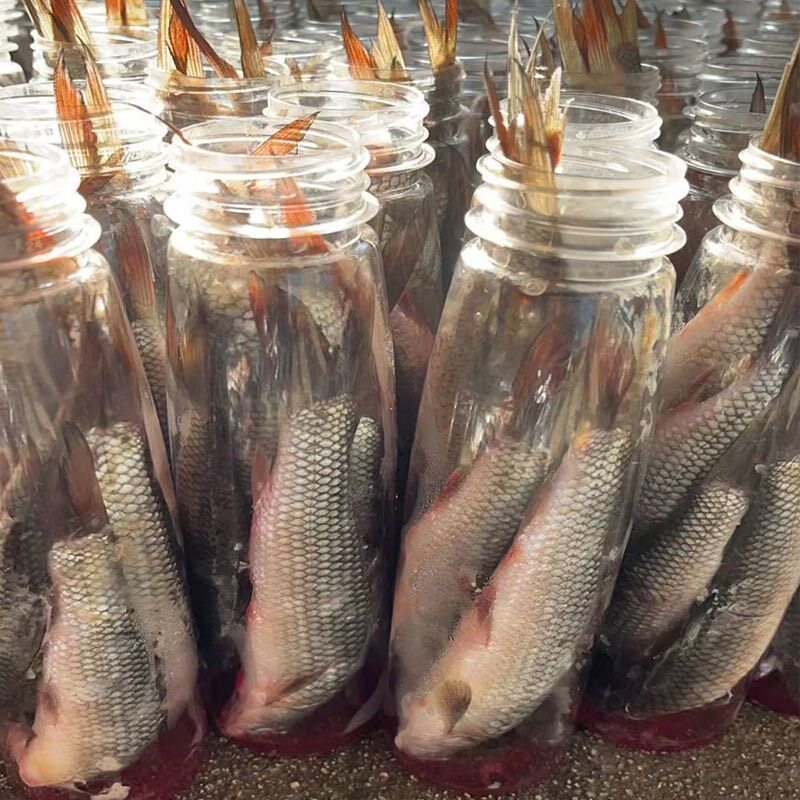 永辰秘制臭鱼钓鲶鱼饵恶臭钓饵臭鱼王鲶鱼黄颡鱼塘鲺江河湖库野钓