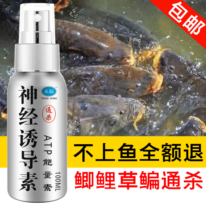 高浓度通杀型诱鱼剂黑坑野钓