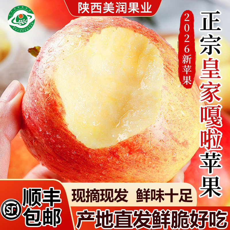 新苹果皇家嘎啦苹果陕西皇家嘎啦脆甜多汁现摘现发洛川苹果包邮