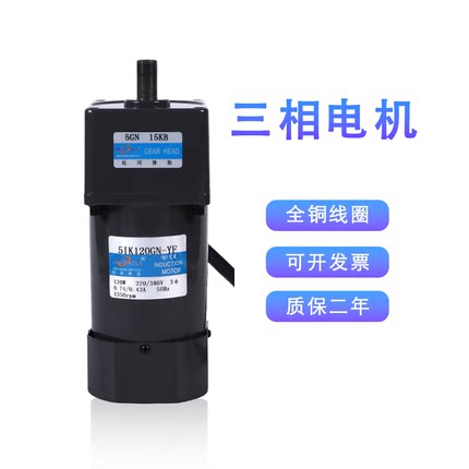 交流定速电容小型齿轮减速机电机 变速低速微型马达 三相220V/380