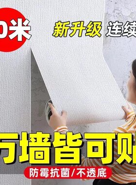 卧室出租房客厅遮丑自贴加厚专用