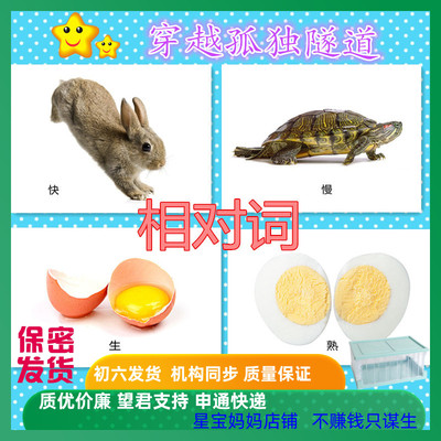 新品自闭症孤独症aba儿童教具