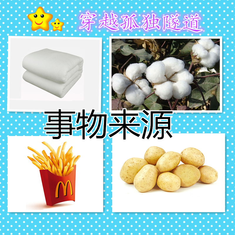 康复训练教具认识事物来源卡片