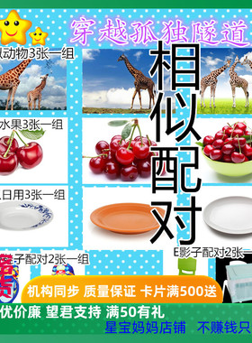 包邮思维ABA相似动物水果日常鞋子配对卡片儿童康复训练教具