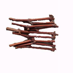 果树苗美国甜蜜蓝宝石葡萄嫁接枝条巨峰阳光玫瑰葡萄树苗扦插枝条