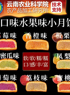 水果味月饼多口味迷你小个广式水果口味月饼中秋零食糕点组合装