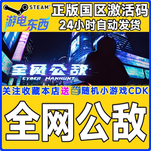 steam正版游戏 全网公敌 Cyber Manhunt 国区激活码CDK
