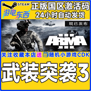 steam正版游戏 武装突袭3 Arma3 国区激活码CDK
