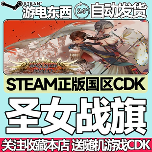 Steam正版 圣女战旗 国区激活码cdk Banner of the Maid