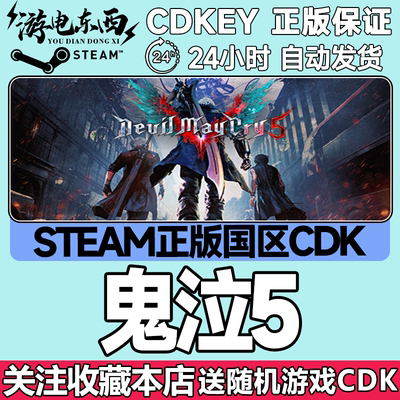 steam正版鬼泣5国区key现货秒发