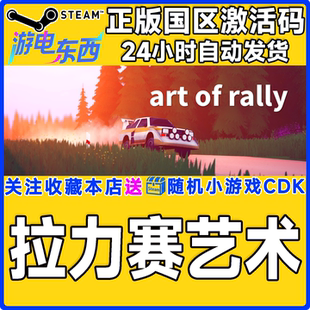art 拉力赛艺术 rally CDK steam正版 国区激活码 游戏