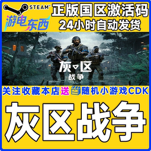 Gray 灰区战争 Zone Warfare CDK steam正版 国区激活码 游戏