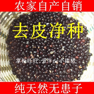 无患子种子菩提散珠/木患子/木槵子菩提子佛珠/黄目洗手果肥皂树