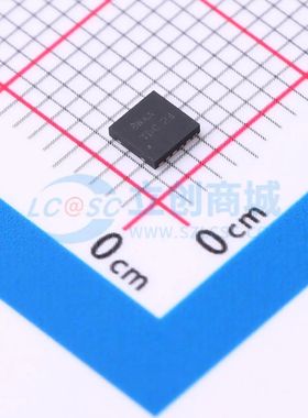 PAM2319AYAA WDFN-12-EP(3x3) DC-DC电源芯片