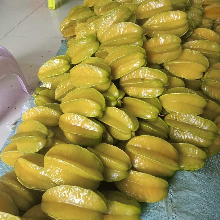 杨桃新鲜包邮5斤老农孕妇水果