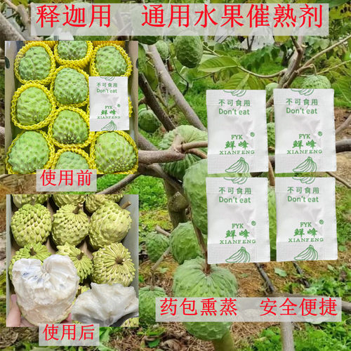 释迦专用催熟芒果香蕉柿子芭乐菠萝蜜百香果猕猴桃水果通用催熟剂