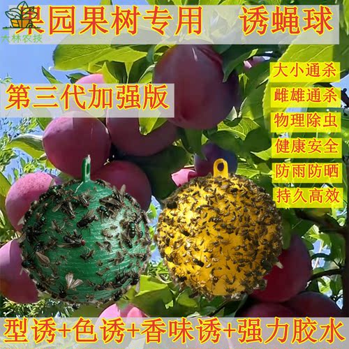 果园果树菜地菜园果实蝇沾虫球