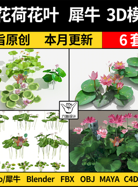 blender荷花莲花荷叶C4D模型FBX/OBJ犀牛Rhino/MAYA/3dmax模型库
