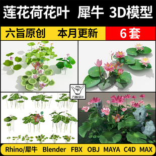 blender荷花莲花荷叶C4D模型FBX/OBJ犀牛Rhino/MAYA/3dmax模型库