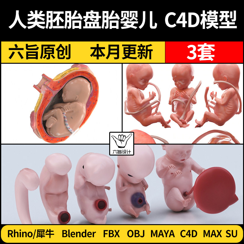 blender人类胚胎盘胎儿婴儿SU/Maya/Rhino/C4D/3Dmax模型FBX OBJ