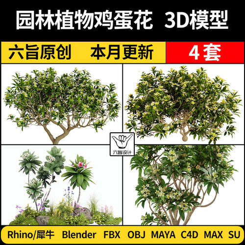 blender园林植物鸡蛋花Rhino犀牛C4D/SU/MAYA/3Dmax模型FBX OBJ
