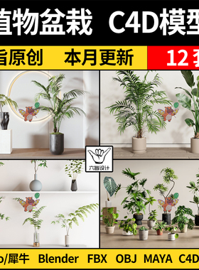 植物绿植花卉装饰盆栽Rhino犀牛C4D/blender/FBX obj/MAYA/3D模型